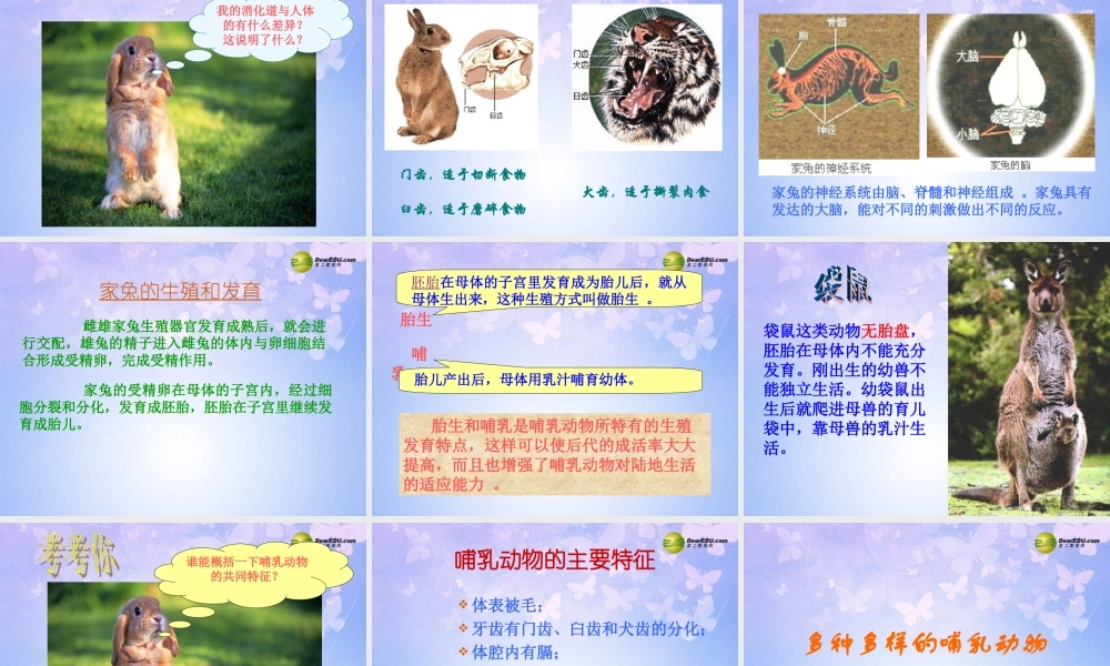 八年级生物上册 第五单元 1.7 哺乳动物课件 (新版)新人教版 课件