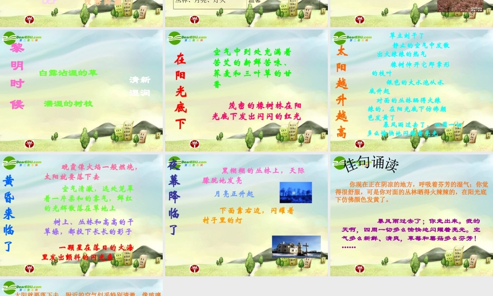 七年级语文上册 12.树林和草原 课件 语文版 课件