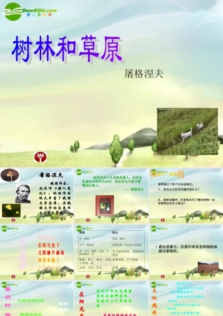 七年级语文上册 12.树林和草原 课件 语文版 课件