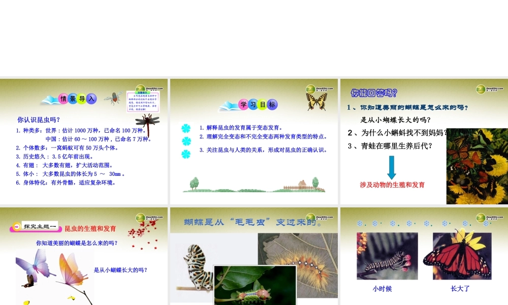 分校八年级生物上册(第19章 第2节 动物的生殖和发育)课件 北师大版 课件