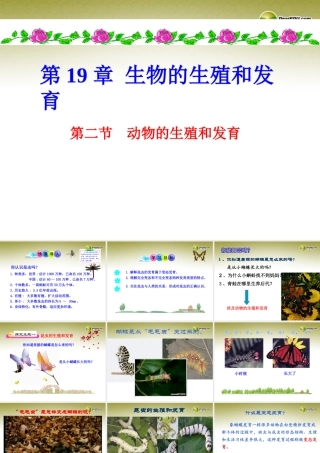 分校八年级生物上册(第19章 第2节 动物的生殖和发育)课件 北师大版 课件