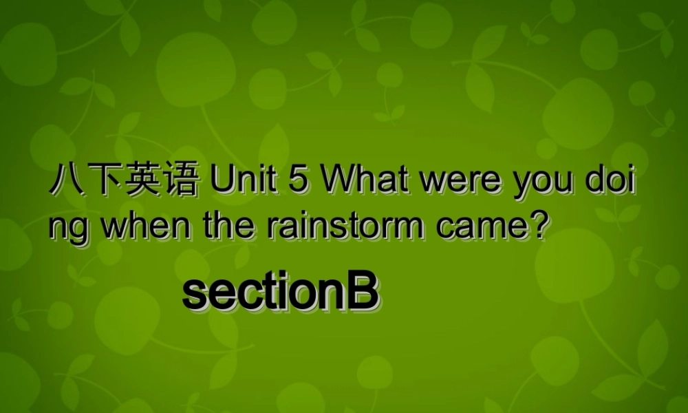 八年级英语下册 Unit 5 What were you doing when the rainstorm came课件3 (新版)人教新目标版 课件