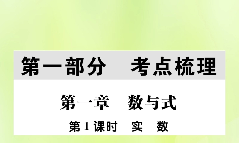 中考数学总复习 第一部分 考点梳理 第一章 数与式 第1课时 实数课件