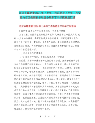 市区乡镇党委2024年上半年工作总结及下半年工作安排与市区供销社半年度小结和下半年度规划汇编