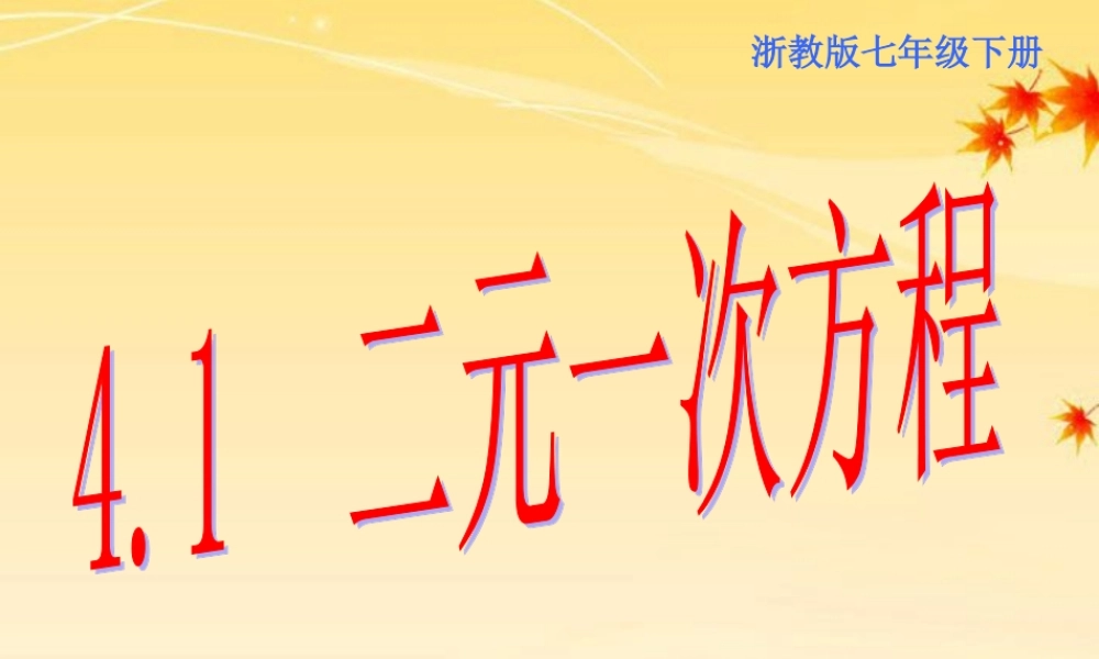 七年级数学下册 4.1 二元一次方程课件 浙教版 课件
