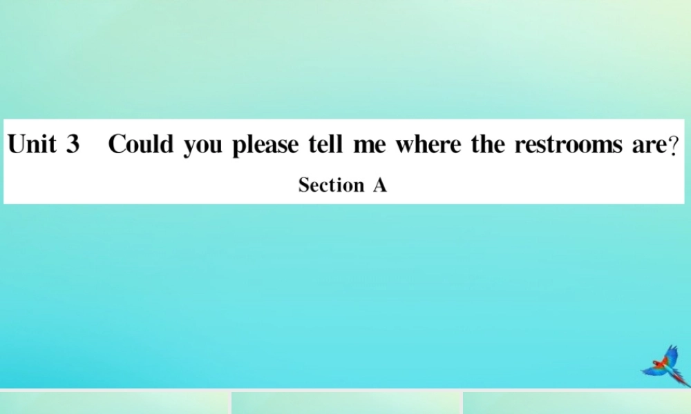 九年级英语全册 Unit 3 Could you please tell me where the restrooms are Section A习题课件 (新版)人教新目标版 课件