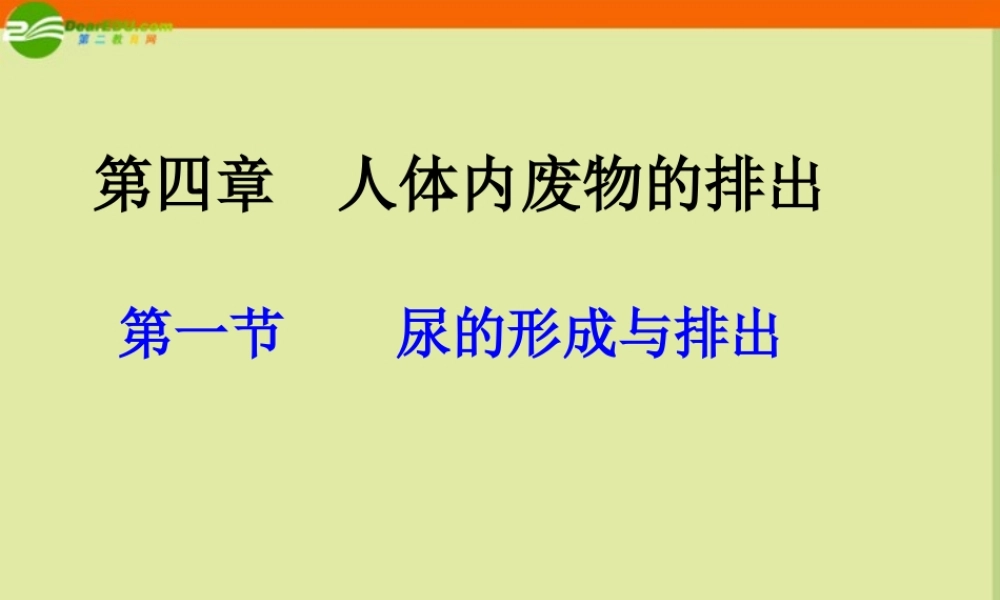 七年级生物下册 第一节(尿的形成与排出)课件