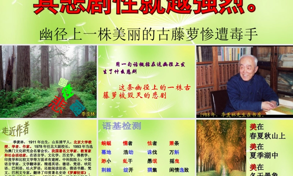 八年级语文上册 第五单元 23 幽径悲剧课件 (新版)苏教版 课件