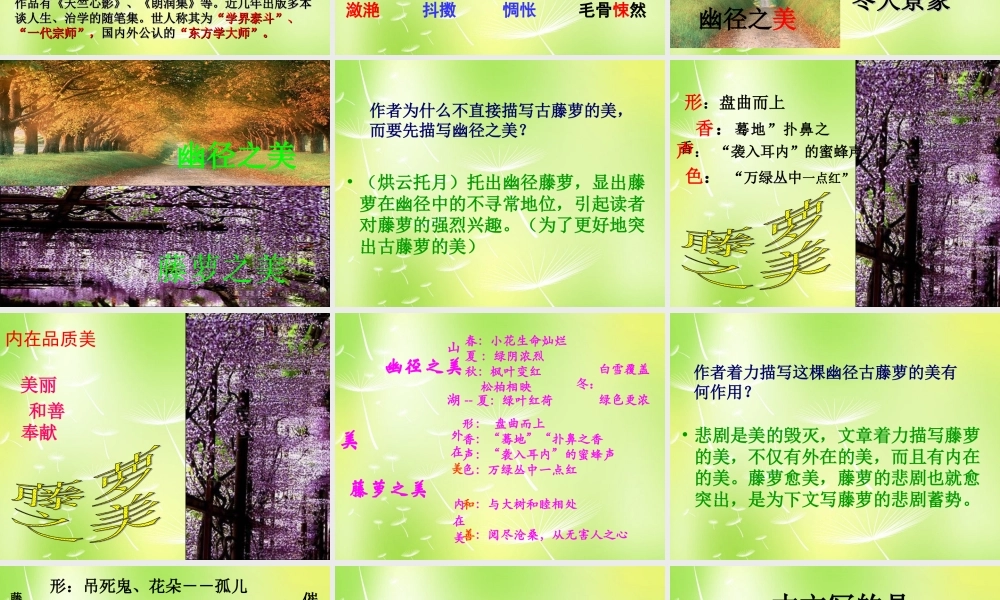 八年级语文上册 第五单元 23 幽径悲剧课件 (新版)苏教版 课件