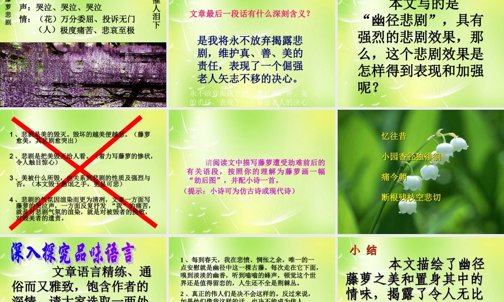 八年级语文上册 第五单元 23 幽径悲剧课件 (新版)苏教版 课件