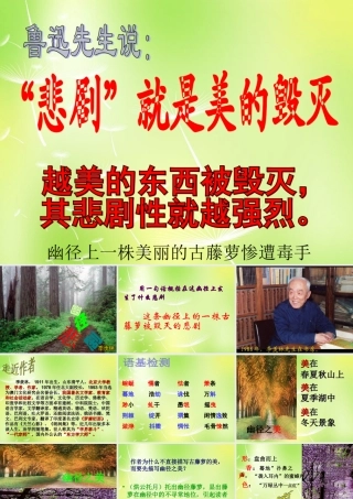 八年级语文上册 第五单元 23 幽径悲剧课件 (新版)苏教版 课件