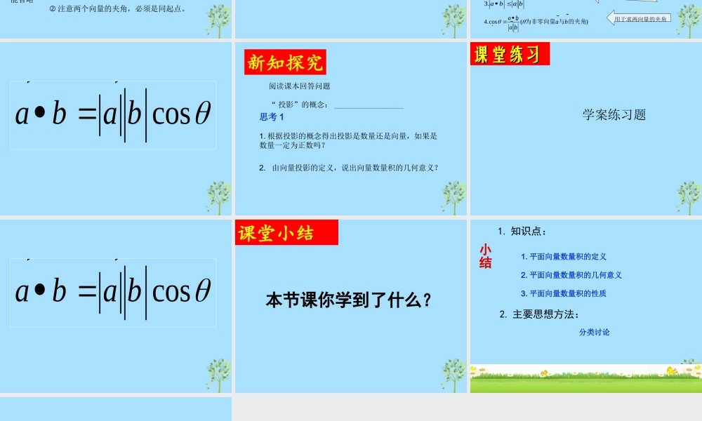 山西省忻州市高考数学 专题 平面向量的数量积2复习课件
