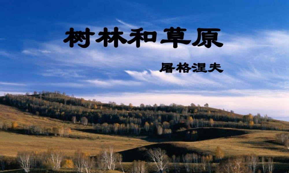 中学七年级语文上册 12 树林和草原课件 语文版 课件