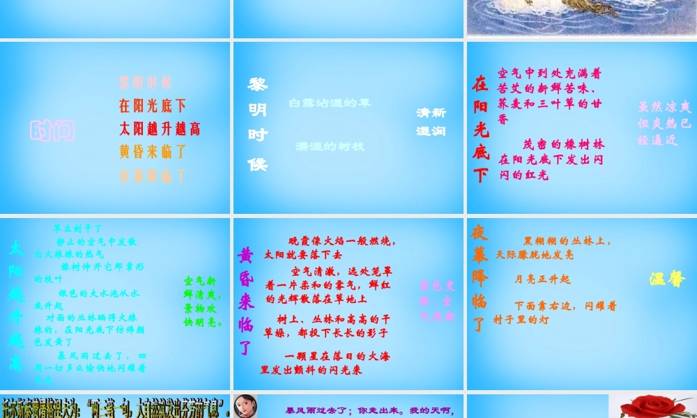 中学七年级语文上册 12 树林和草原课件 语文版 课件