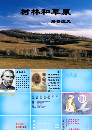 中学七年级语文上册 12 树林和草原课件 语文版 课件