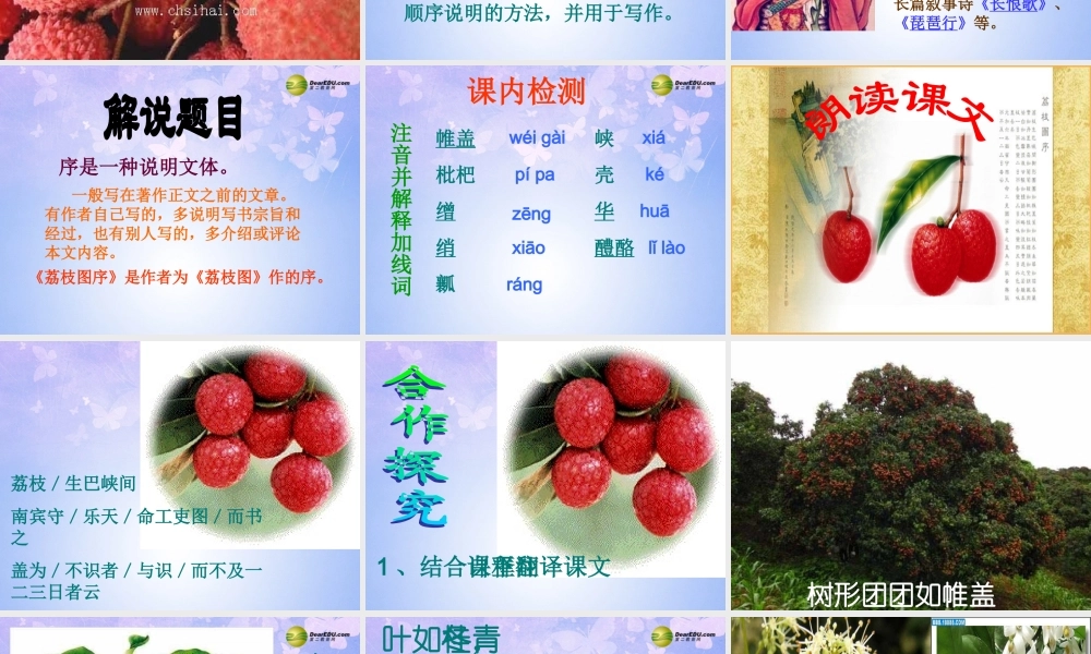 八年级语文下册 荔枝图序教学课件 北师大版 课件