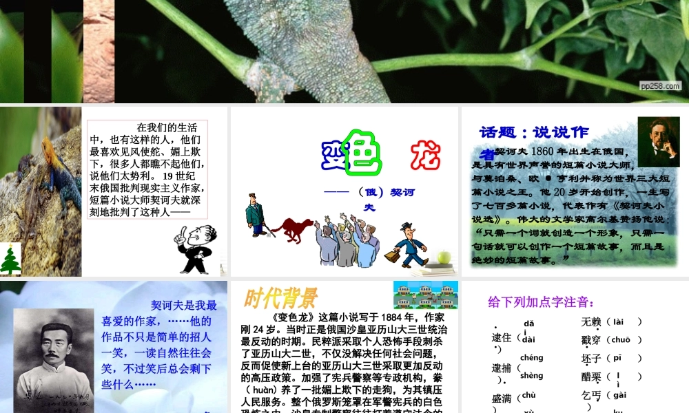 八年级语文下册 课堂教学资料 第19课(变色龙)课件 苏教版 课件