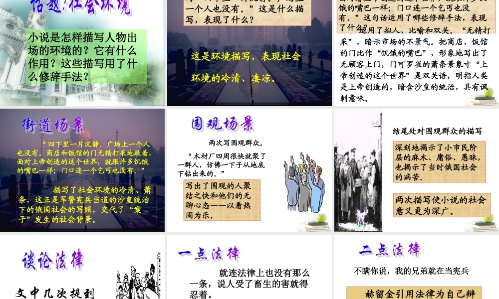 八年级语文下册 课堂教学资料 第19课(变色龙)课件 苏教版 课件