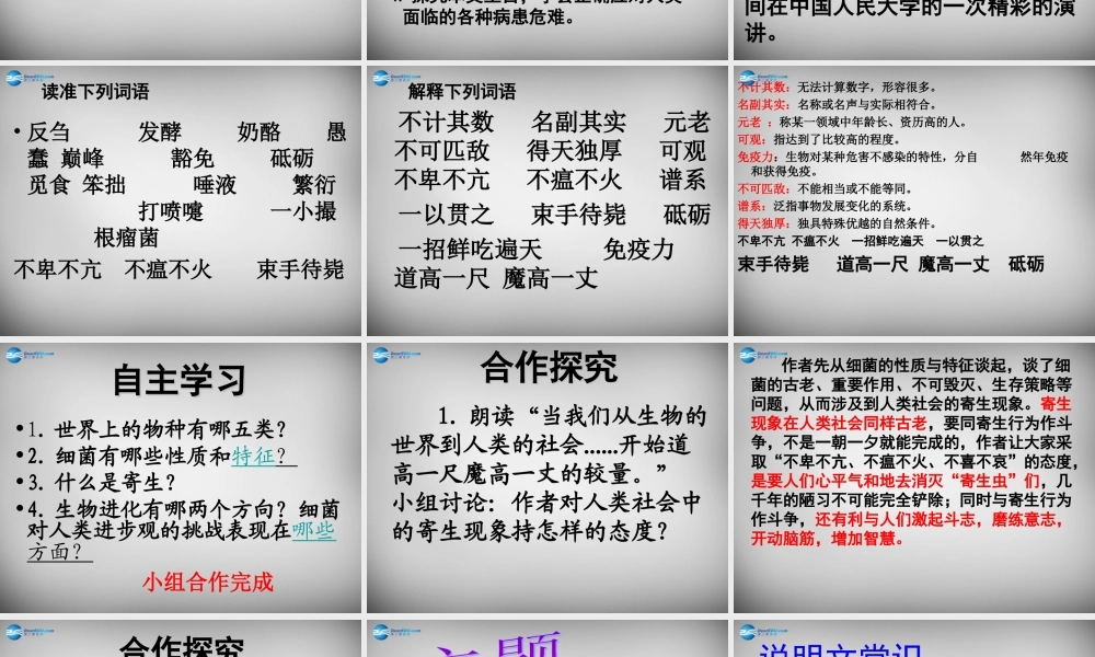 八年级语文下册 3 细菌的启示课件1 (新版)北师大版 课件