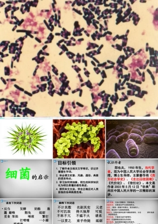 八年级语文下册 3 细菌的启示课件1 (新版)北师大版 课件