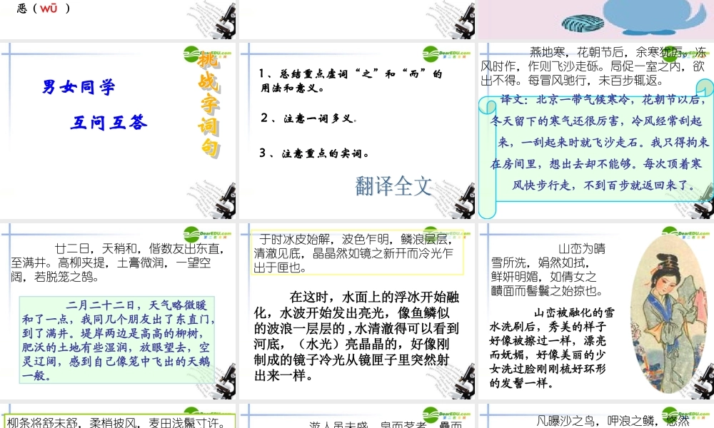 八年级语文下册 第六单元之(满井游记)课件 新人教版 课件