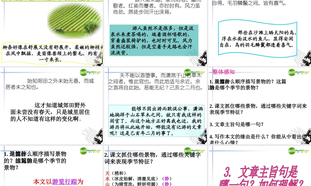 八年级语文下册 第六单元之(满井游记)课件 新人教版 课件
