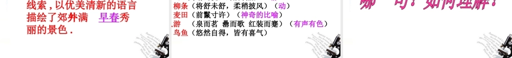 八年级语文下册 第六单元之(满井游记)课件 新人教版 课件