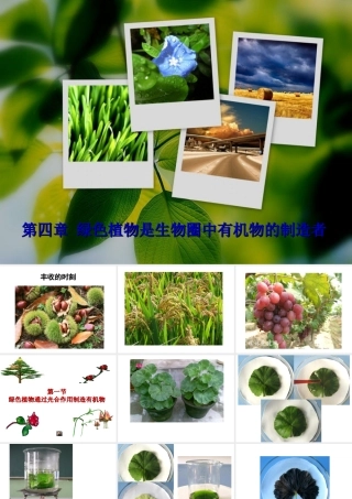 七年级生物 第一节绿色植物通过光合作用制造有机物课件 人教新课标版 课件