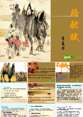 九年级语文上册 (骆驼赋)课件 鄂教版 课件