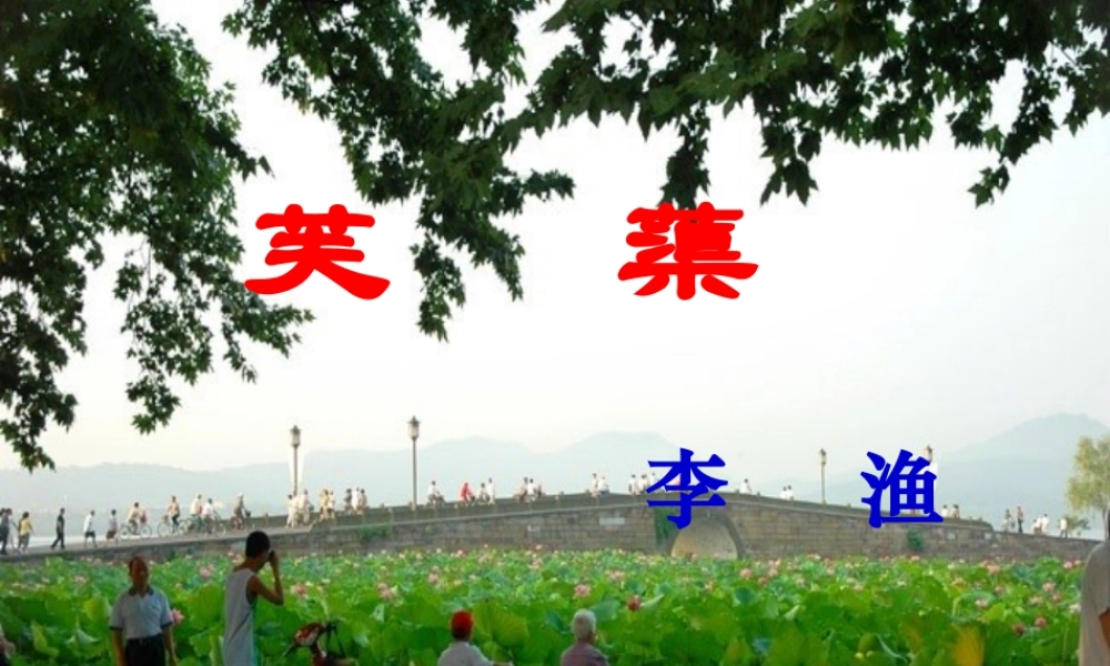 八年级语文下册第五单元第10课：(芙蕖)课件 北师大版 课件