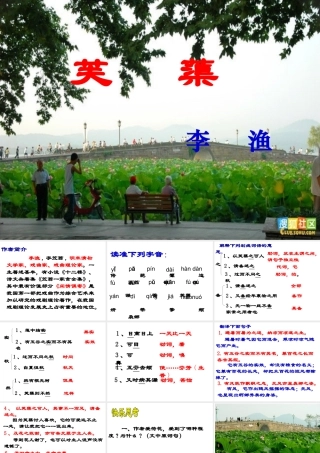 八年级语文下册第五单元第10课：(芙蕖)课件 北师大版 课件