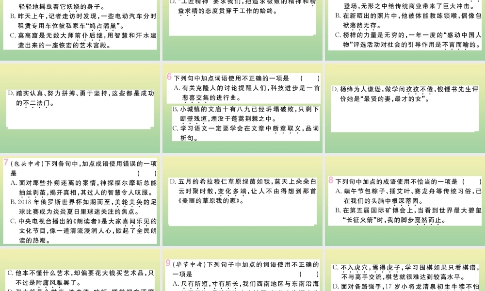 九年级语文上册 期末复习专题五 词语(成语)的理解与运用作业课件 新人教版 课件