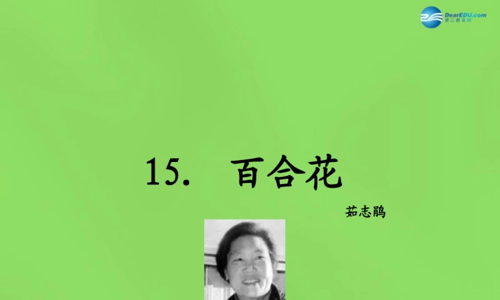 九年级语文下册 15 百合花课件 语文版 课件