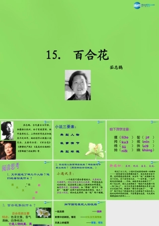 九年级语文下册 15 百合花课件 语文版 课件