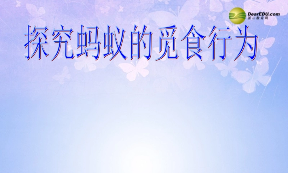 八年级生物上册 蚂蚁的觅食行为课件 苏科版 课件