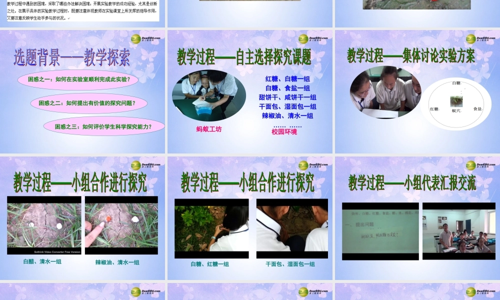 八年级生物上册 蚂蚁的觅食行为课件 苏科版 课件