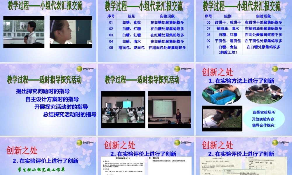 八年级生物上册 蚂蚁的觅食行为课件 苏科版 课件