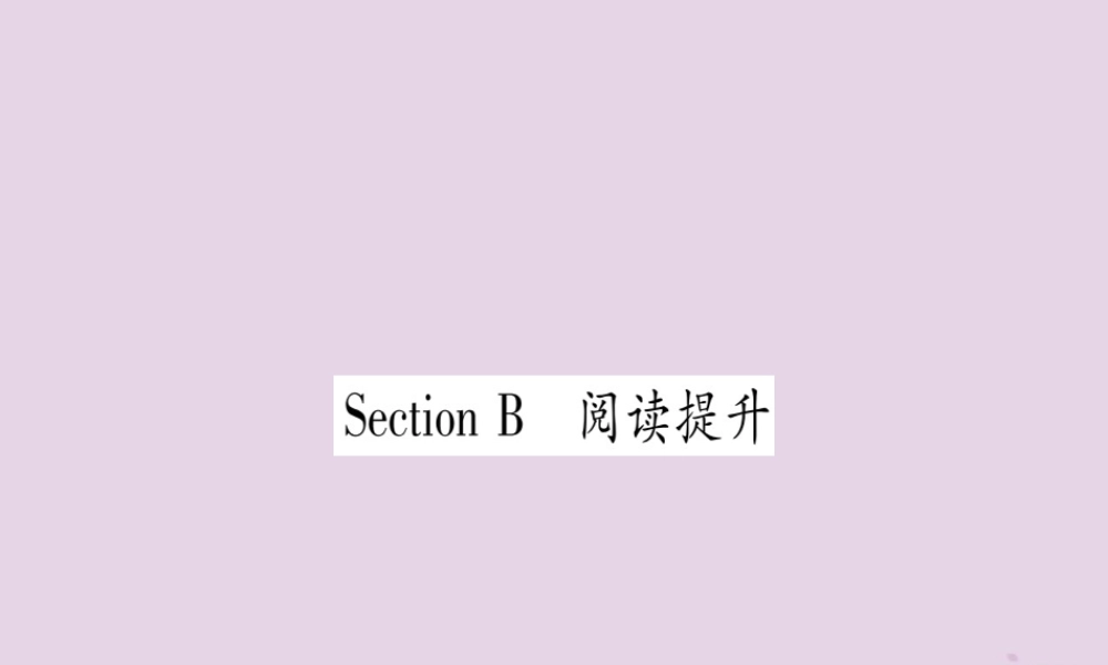 九年级英语全册 Unit 8 It must belong to Carla Section B作业课件 (新版)人教新目标版 课件