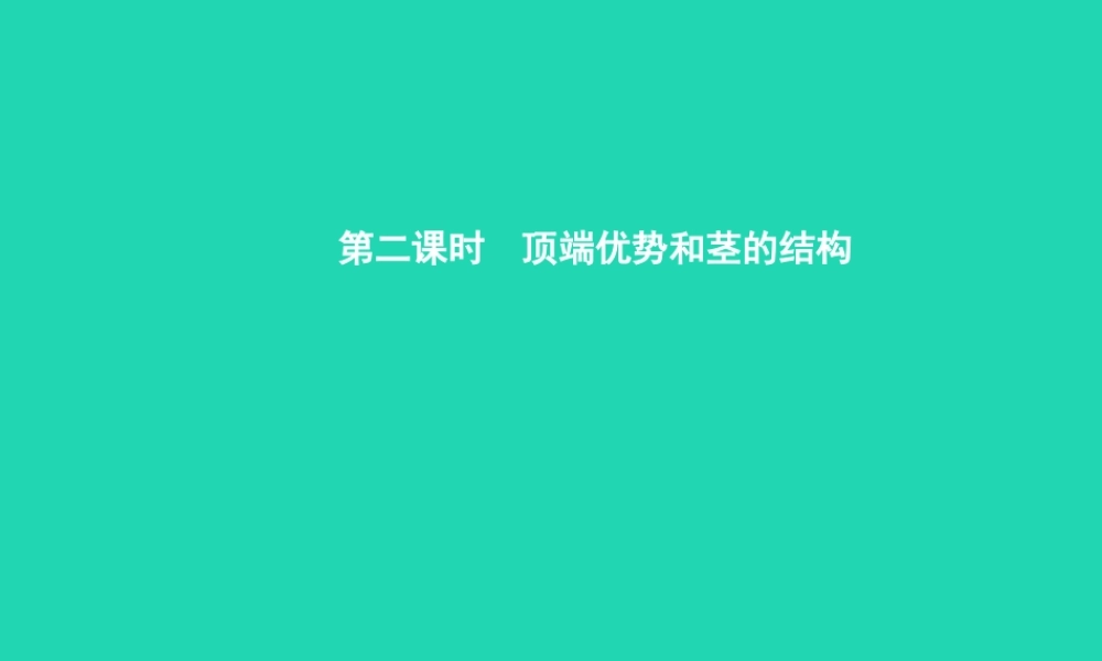 八年级生物上册 第四单元 第一章 第六节 芽的类型和发育(第2课时 顶端优势和茎的结构)课件 (新版)济南版 课件