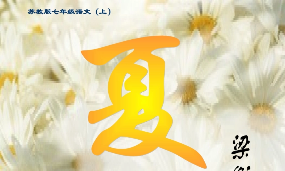 七年级语文夏课件4 苏教版 课件