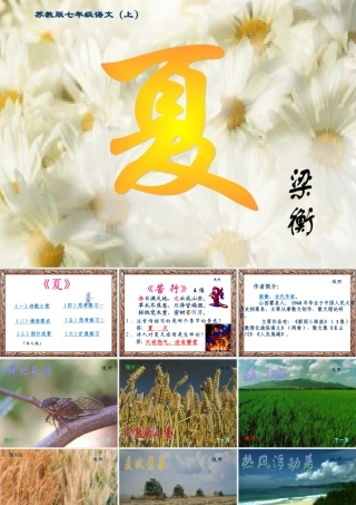 七年级语文夏课件4 苏教版 课件