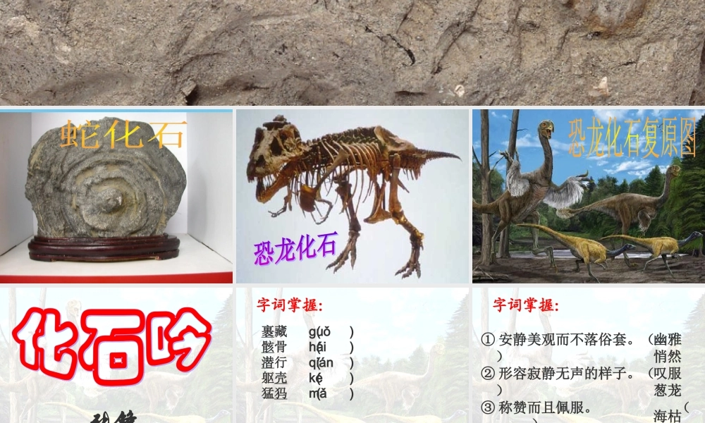 七年级语文上册 第16课(化石吟)优秀课件(17页) 人教新课标版 课件