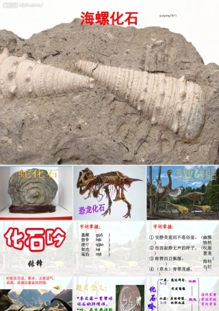 七年级语文上册 第16课(化石吟)优秀课件(17页) 人教新课标版 课件