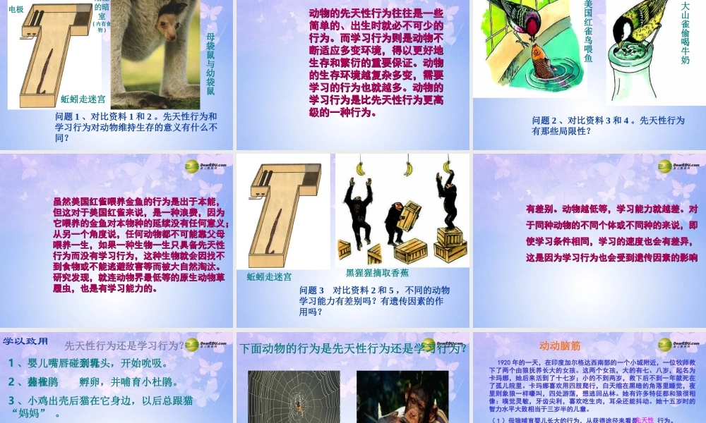 八年级生物上册 先天性行为和学习行为课件 新人教版 课件