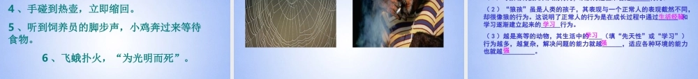 八年级生物上册 先天性行为和学习行为课件 新人教版 课件