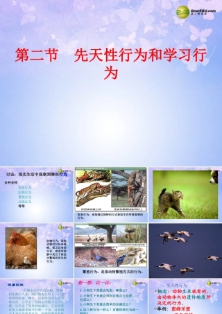 八年级生物上册 先天性行为和学习行为课件 新人教版 课件
