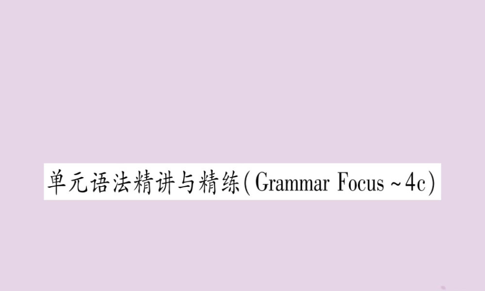 九年级英语全册 Unit 7 Teenagers should be allowed to choose their own clothes语法精讲与精练作业课件 (新版)人教新目标版 课件