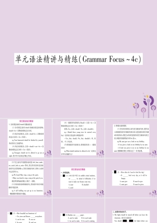 九年级英语全册 Unit 7 Teenagers should be allowed to choose their own clothes语法精讲与精练作业课件 (新版)人教新目标版 课件