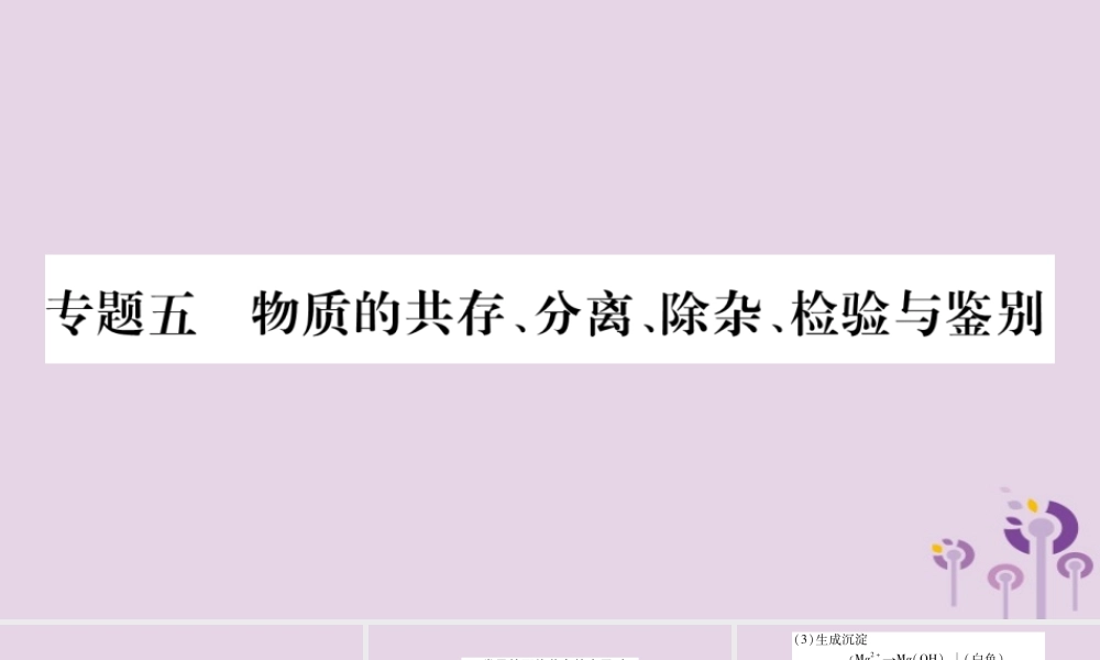 中考化学复习 第二部分 重难题型专题突破 专题五 物质的共存、分离、除杂、检验与检验(精讲)课件