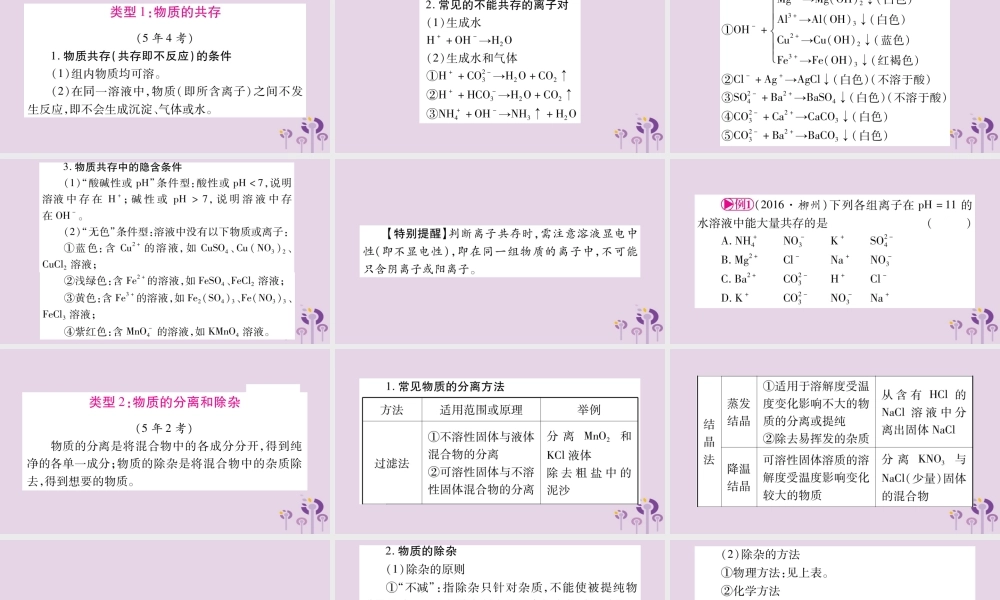 中考化学复习 第二部分 重难题型专题突破 专题五 物质的共存、分离、除杂、检验与检验(精讲)课件